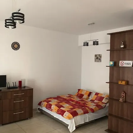 Aparthotel 610 公寓 康斯坦察